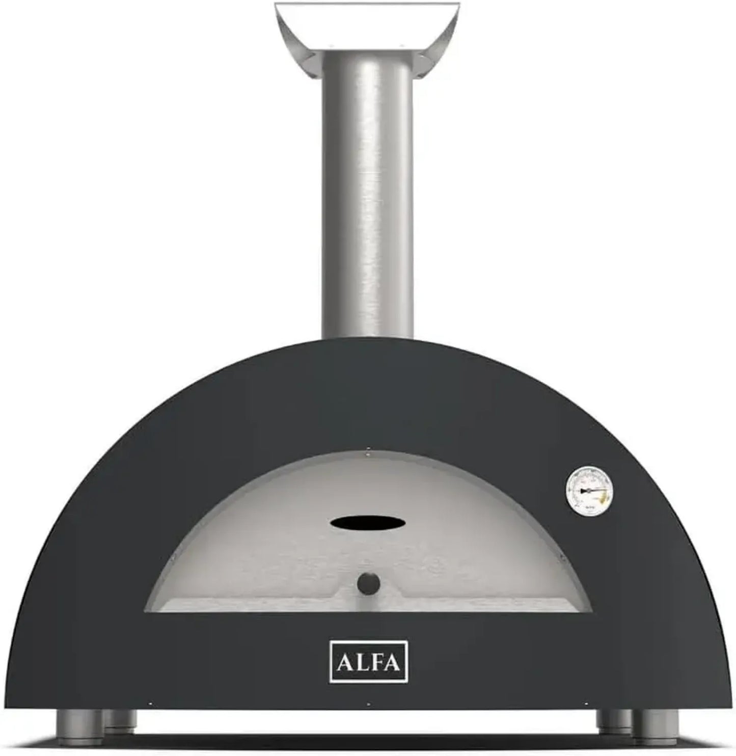 Four à gaz en métal moderne pour 2 pizzas